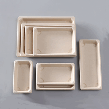 lunch box for takeaway food packaging