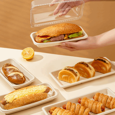 lunch box for takeaway food packaging