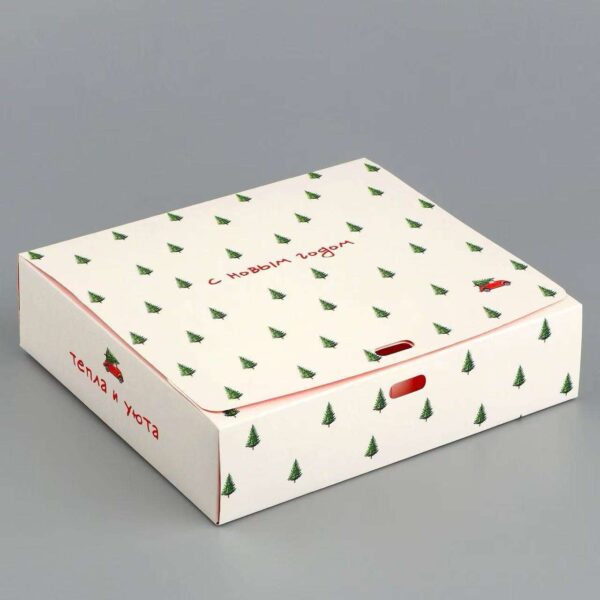 garment packaging mailer box manufacturer