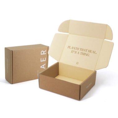 Custom kraft adhesive mailer box