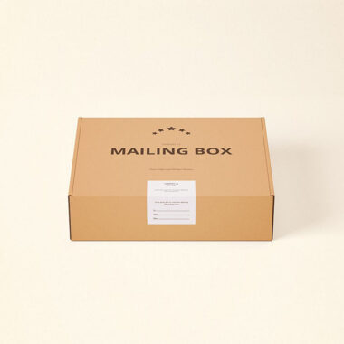 Custom printed paper mail packaging box