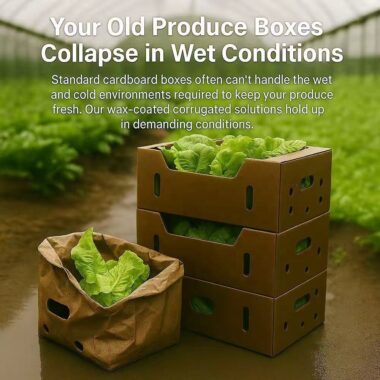 corrugated agricultural carton box factory