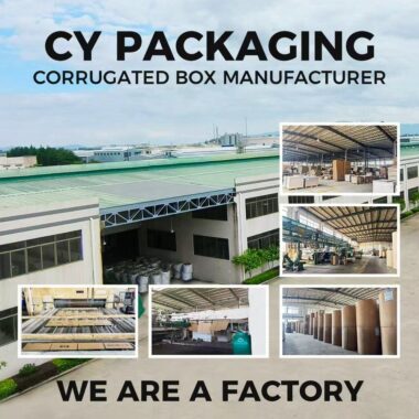 corrugated agricultural carton box factory