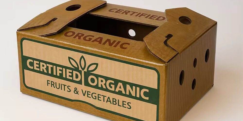corrugated agricultural carton box factory