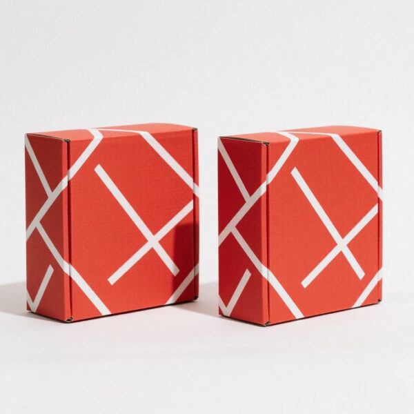 reusable corrugated gift box