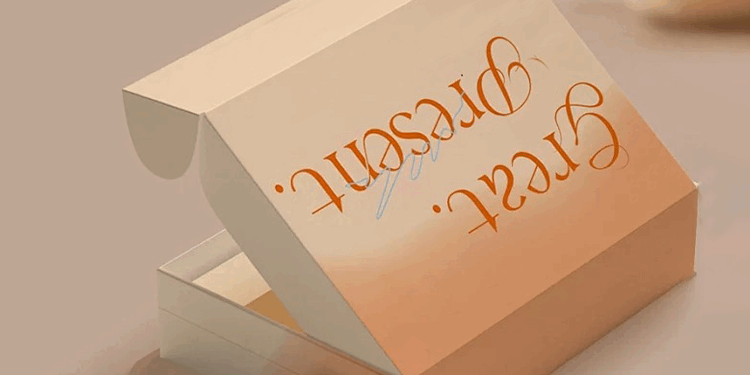 paper mailing packaging box design